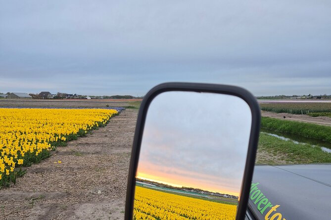 Enjoy the Tulips in a Landrover with a local guide - Why this Land Rover tour works well in South Holland