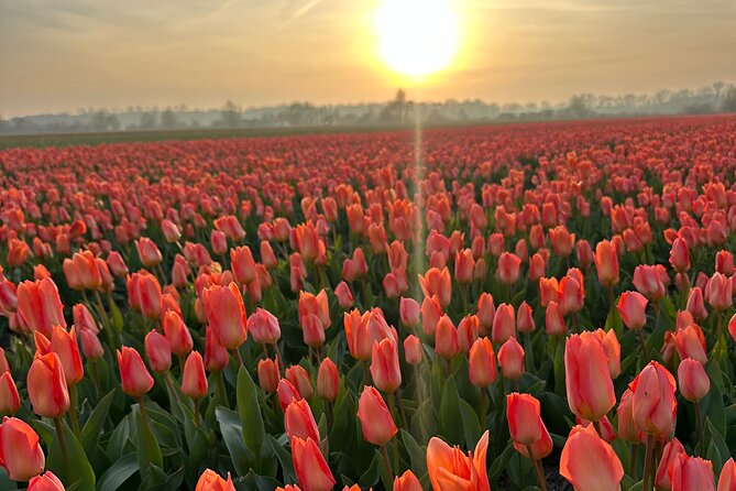 Enjoy the Tulips in a Landrover with a local guide - Keukenhof Castle from the outside