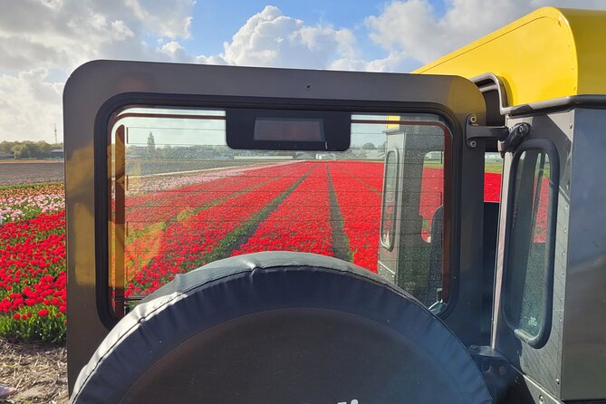 Enjoy the Tulips in a Landrover with a local guide - What the small group changes