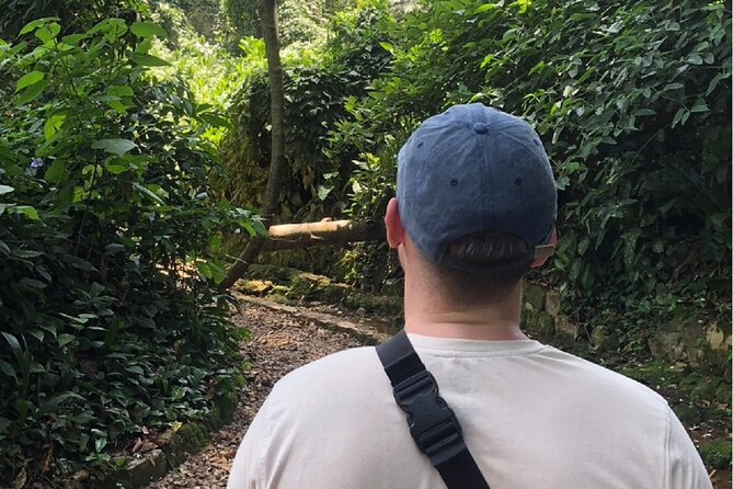 Entebbe Walking Tour (3 Hours) with Zoo and Botanical Gardens Options - Trying a rolex and Entebbe street food