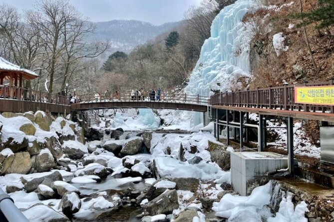 Eobi Ice Valley& Nami Island with Garden of Morning Calm Trip - Key points to know before booking