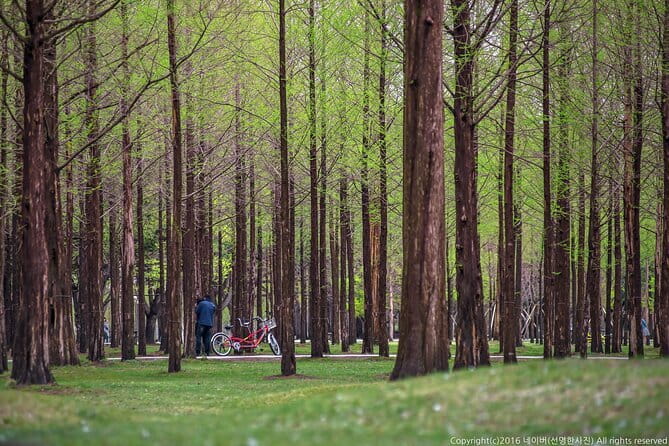 Eobi+Nami+Hanbok Tour with Rail Bike or Strawberry Option - Eobi Ice Valley and the best winter photographs