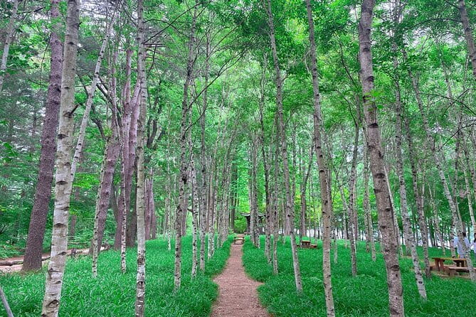 Eobi+Nami+Hanbok Tour with Rail Bike or Strawberry Option - Practical details before you reserve
