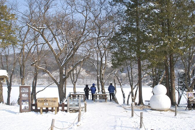Eobi Valley(Winter), Strawberry, Nami Island & Railbike fr Seoul - Riding the Gangchon Railbike