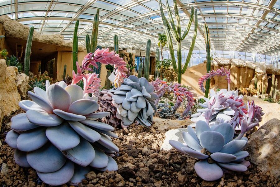 Erfurt: Egapark garden Entrance Ticket - Events, workshops, and seasonal variety
