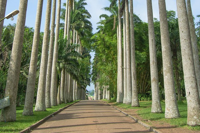 Escape Accra City to Aburi Gardens and Tetteh Quarshie Cocoa Farms - Leaving Accra for Aburi’s green hills