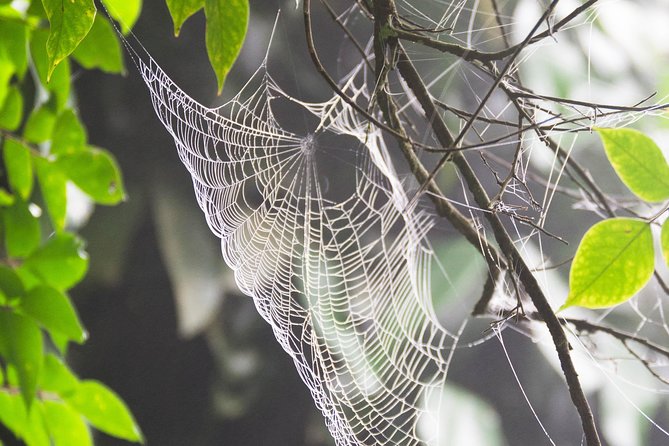 Escape Accra City to Aburi Gardens and Tetteh Quarshie Cocoa Farms - Browsing Aburi Crafts Village