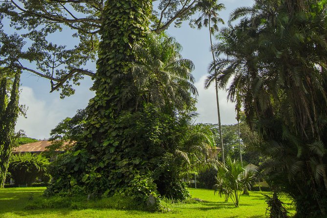 Escape Accra City to Aburi Gardens and Tetteh Quarshie Cocoa Farms - Is $170 a fair price?