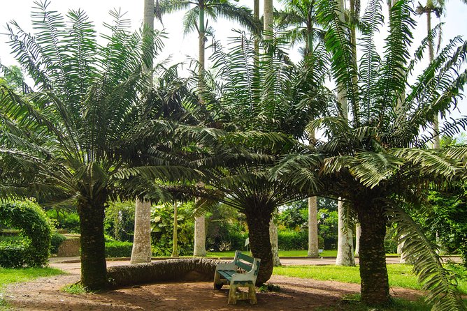 Escape Accra City to Aburi Gardens and Tetteh Quarshie Cocoa Farms - Who will enjoy this half-day outing?