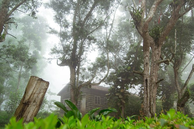 Escape Accra City to Aburi Gardens and Tetteh Quarshie Cocoa Farms - Should you book the Aburi and cocoa tour?