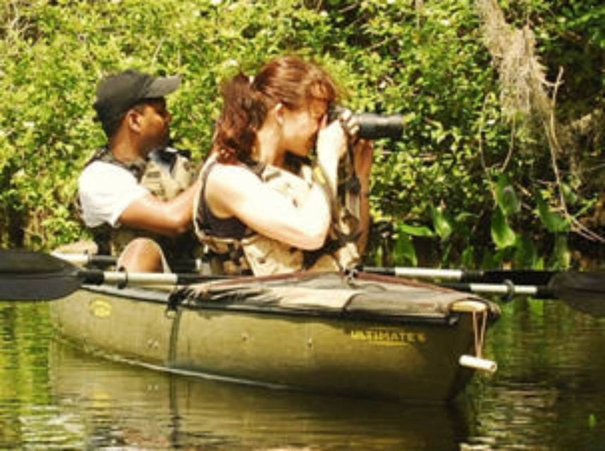 Everglades: Everglades Alligators and Orchids Kayak Eco Tour - Orchids, butterflies, and the seasonal question