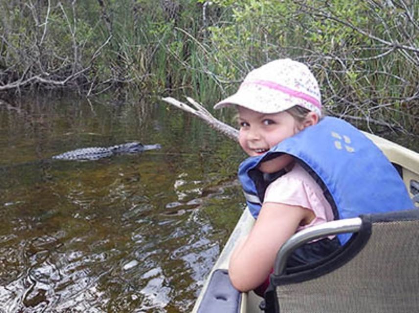 Everglades: Everglades Alligators and Orchids Kayak Eco Tour - What makes the guides important