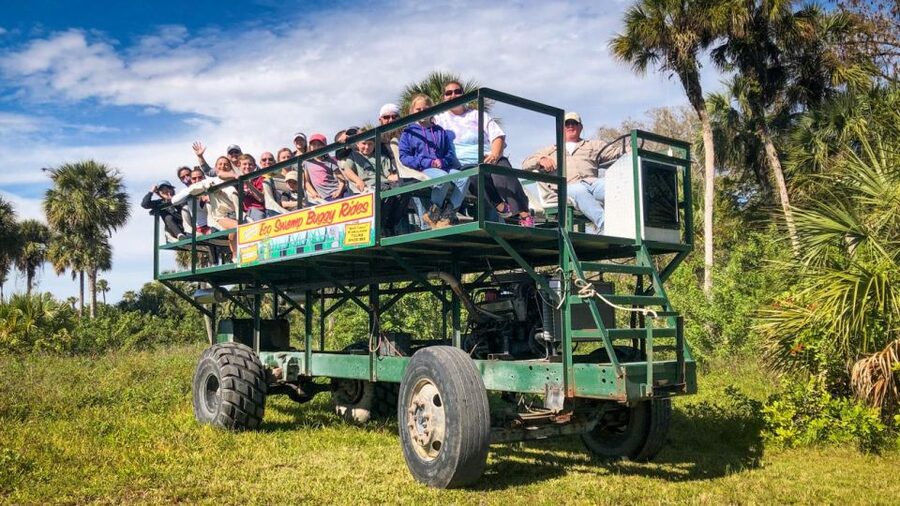 Everglades: Mangrove Maze Airboat Tour and Boardwalk - What the $64 ticket really buys you