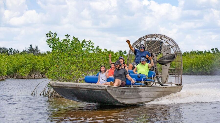 Everglades: Mangrove Maze Airboat Tour and Boardwalk - The airboat ride through the mangroves
