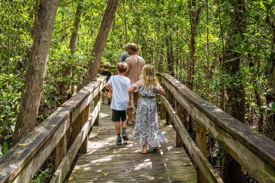 Everglades: Mangrove Maze Airboat Tour and Boardwalk - Why the guide matters more than the speed