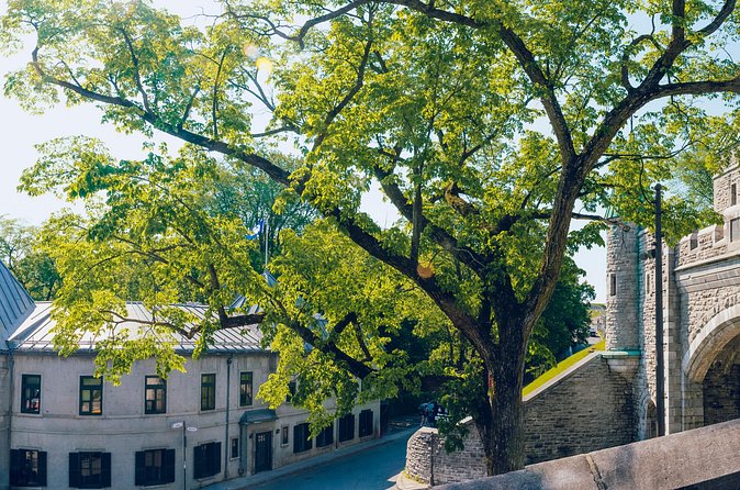 Exclusive Quebec Private Garrison Club Garden BBQ Luncheon - Dietary needs and practical comfort