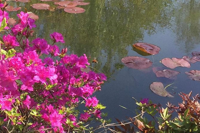 Excursion CHATEAU DE VERSAILLES and GIVERNY in Limousine from Paris - Booking details that affect the day