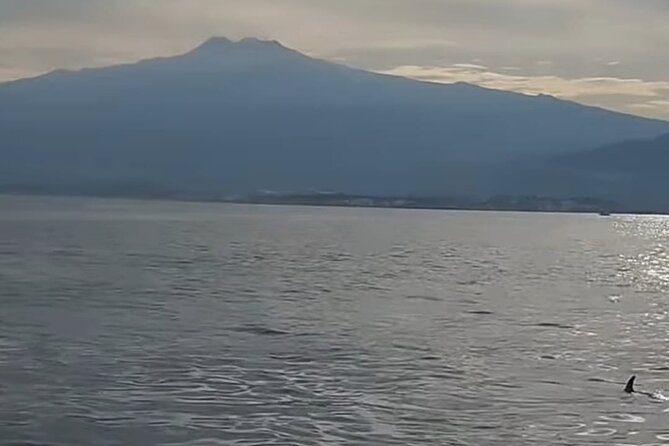 Excursions by boat: Gardens Naxos-Taormina-Isola Bella-DELFINI - Cave stories and a swim in the sea