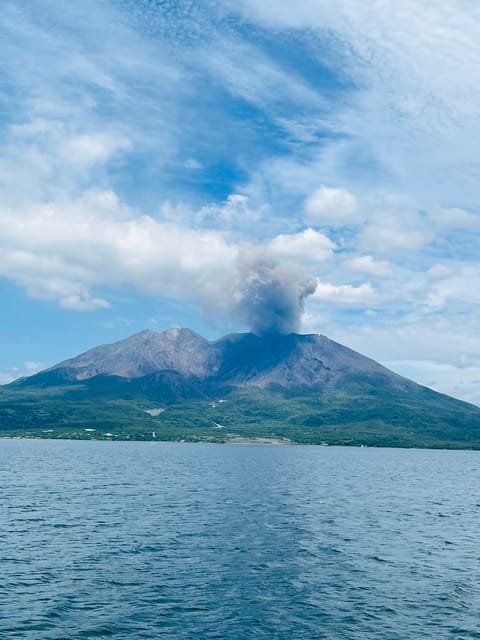 Experience about the blessings of the earth in Sakurajima. - Lunch with Sakurajima amberjack