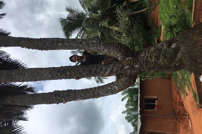 Experience Boti Waterfalls, Aburi Botanical Gardens & Tetteh Quarshie Cocoa Farm - Boti Waterfalls requires more than a casual stroll