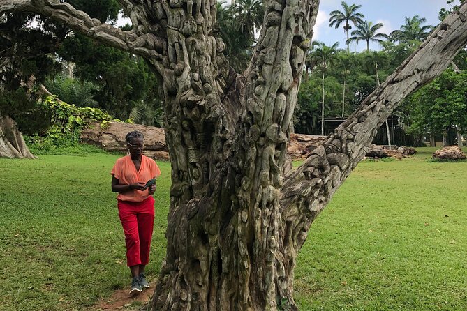 Experience Boti Waterfalls, Aburi Botanical Gardens & Tetteh Quarshie Cocoa Farm - What the private format adds to the day