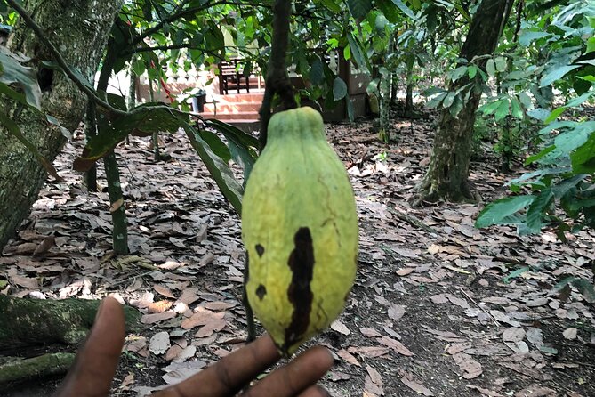 Experience Boti Waterfalls, Aburi Botanical Gardens & Tetteh Quarshie Cocoa Farm - Is $175 per person fair value?