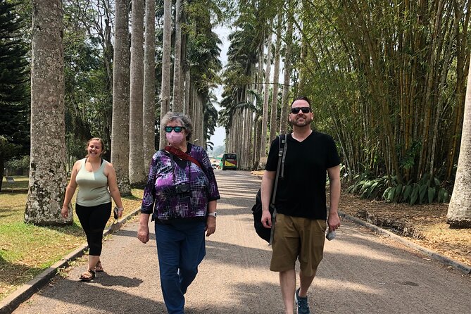 Experience Boti Waterfalls, Aburi Botanical Gardens & Tetteh Quarshie Cocoa Farm - Aburi Botanical Gardens: a calm start above Accra