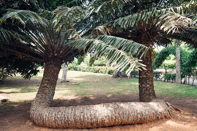 Explore Aburi Botanical Gardens And Boti Falls - Is $250 per person good value?