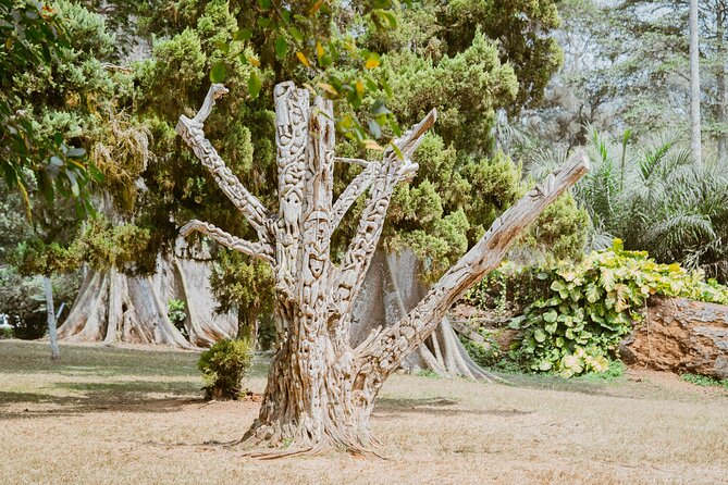 Explore Aburi Botanical Gardens And Boti Falls - Timing, fitness, and what to bring