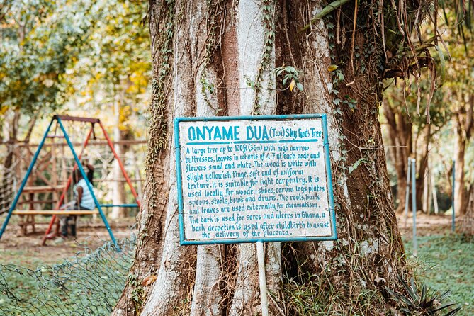 Explore Aburi Botanical Gardens And Boti Falls - How this day compares with a self-planned visit