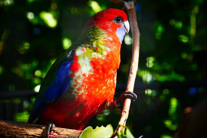Explore gardens & galleries filled with incredible art, Matakana - The on-site vineyard and a sensible end to the visit