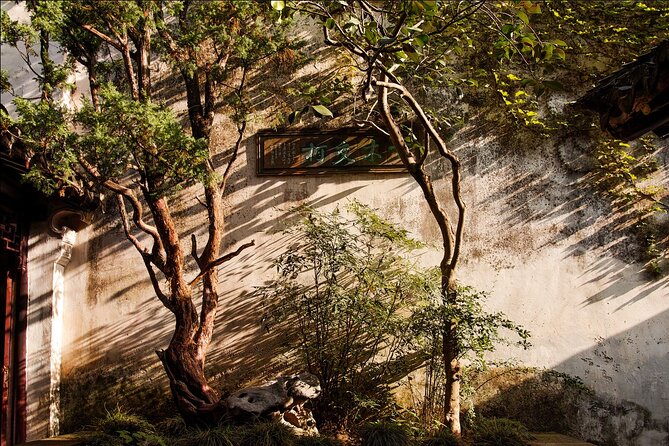 Explore Suzhou's Hidden Gardens&Enchanting Tongli Ancient Town - Is $318 a fair price?