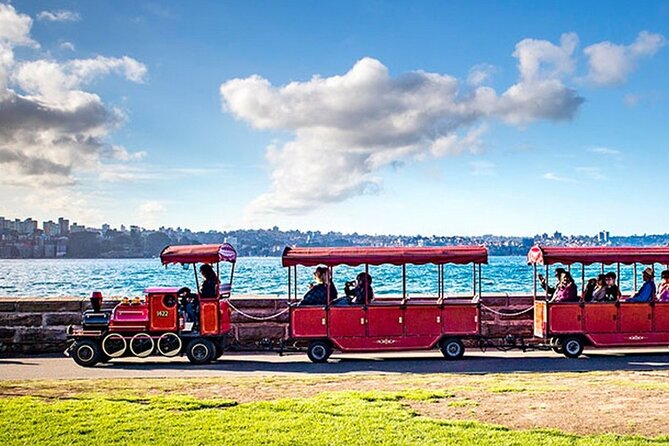 Explore Sydney's Botanic Gardens In a Series of Fun Cryptic Clues - Key points at a glance