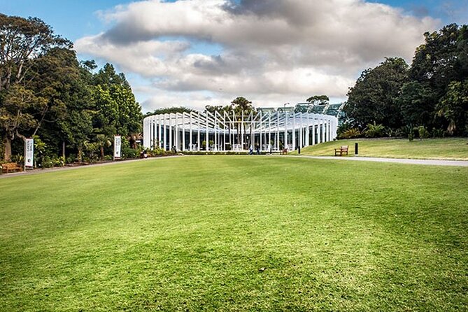 Explore Sydney's Botanic Gardens In a Series of Fun Cryptic Clues - The rare tree and the South Pacific drum