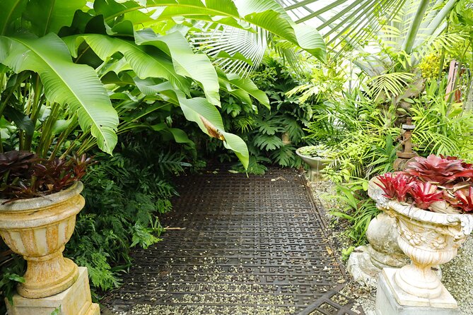 Explore the Enchanted Gardens of Barbados - Hunte’s Gardens inside a limestone sinkhole