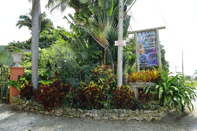 Explore the Enchanted Gardens of Barbados - Welchman Hall Gully and the Green Monkeys