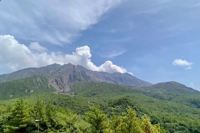 Exploring Sakurajima's History Half Day Walking Tour in Kagoshima - Key points to know before you book
