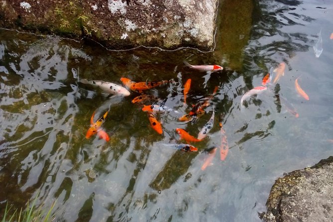 Fairy Tale Colmar Tropicale, Japanese Garden, Genting Highlands - Japanese Garden and a traditional tea ceremony
