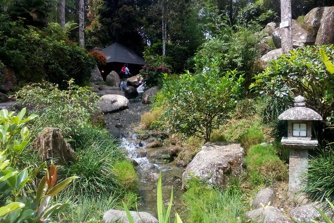 Fairy Tale Colmar Tropicale, Japanese Garden, Genting Highlands - What the private guide adds