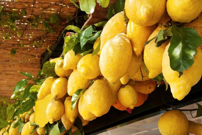 Farm-to-Table Experience: Olive Oil, Garden Tour & Nonna’s Lunch - Nonna’s lunch replaces the pizza lesson