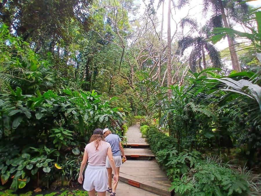 FIJI: Garden of the Sleeping Giant Tour - What the $45 Price Gives You