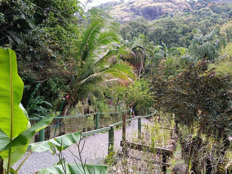 FIJI: Garden of the Sleeping Giant Tour - The Included Drink at the End