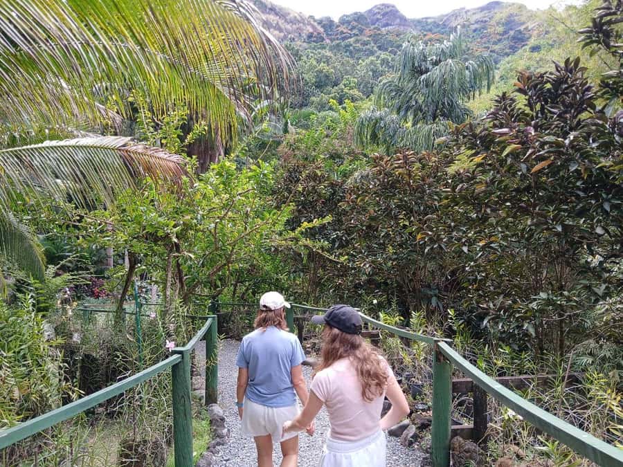 FIJI: Garden of the Sleeping Giant Tour - Practical Advice for a Comfortable Visit