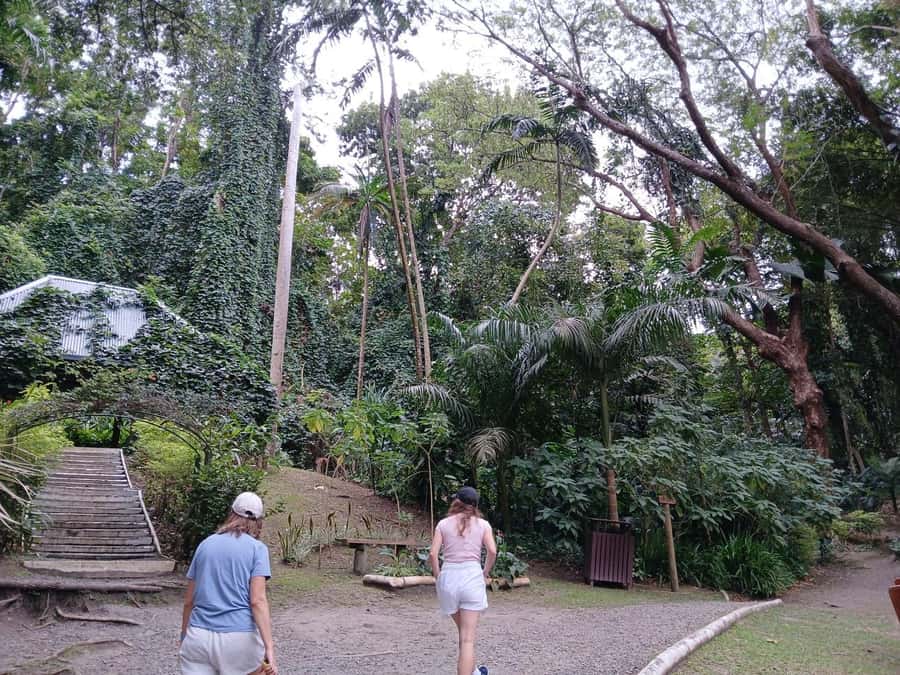 FIJI: Garden of the Sleeping Giant Tour - Should You Book the Garden of the Sleeping Giant?