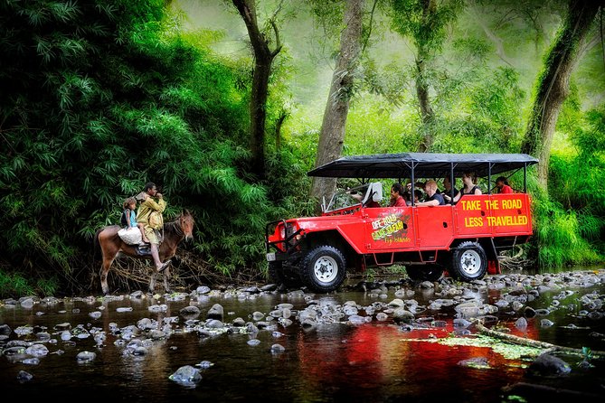 Fiji Local Village, Market, Temple & Garden of Sleeping Giant with Mud Pool Tour - Price, extra fees, and overall value