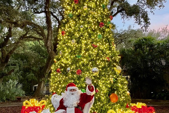 Flamingo Gardens' Garden of Lights - What the Garden of Lights actually is