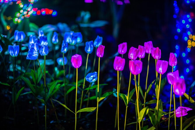 Flamingo Gardens' Garden of Lights - Santa, faux snow, and children’s activities