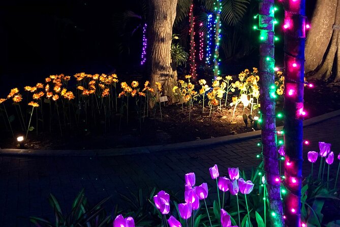 Flamingo Gardens' Garden of Lights - Live music and the evening atmosphere