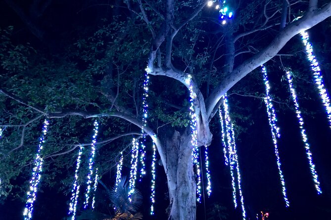 Flamingo Gardens' Garden of Lights - What is closed after dark