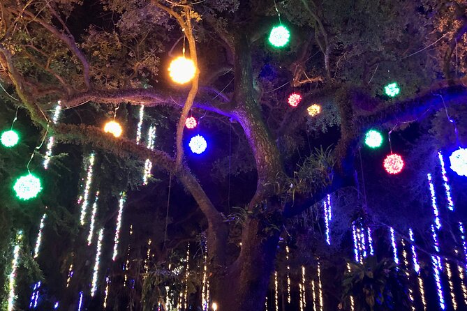 Flamingo Gardens' Garden of Lights - How long you should plan to stay